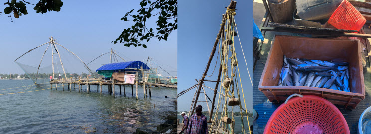 Kochin_1k Kochin_1k