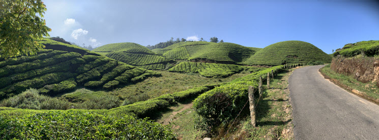 Munnar-Coimbatore_1k Munnar-Coimbatore_1k
