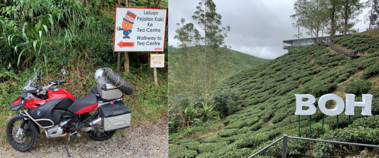IMG_3527_Cameron Highlands_BOH_Tea_Plantation_k IMG_3527_Cameron Highlands_BOH_Tea_Plantation_k